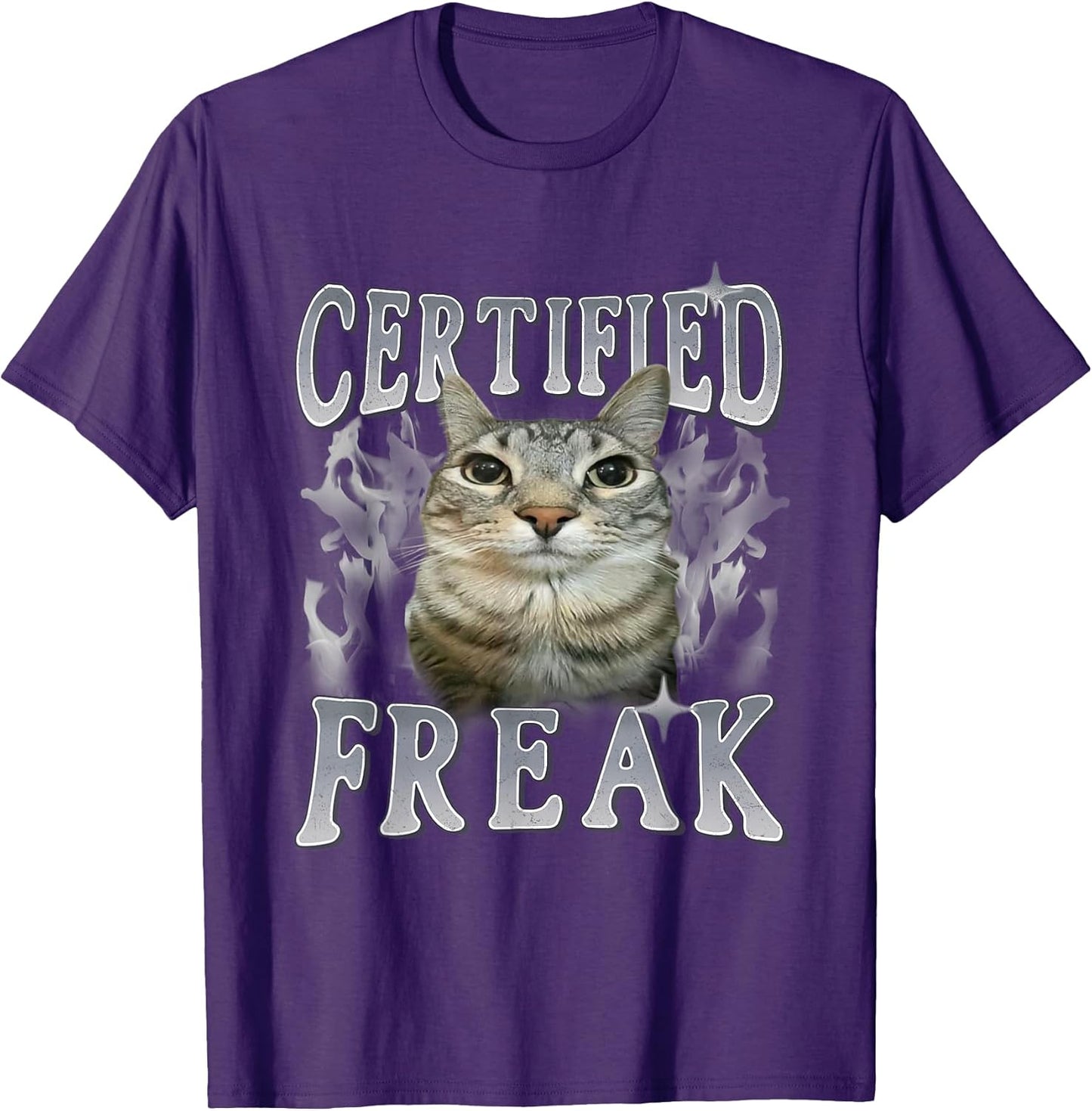 Retro Washed Cat Meme