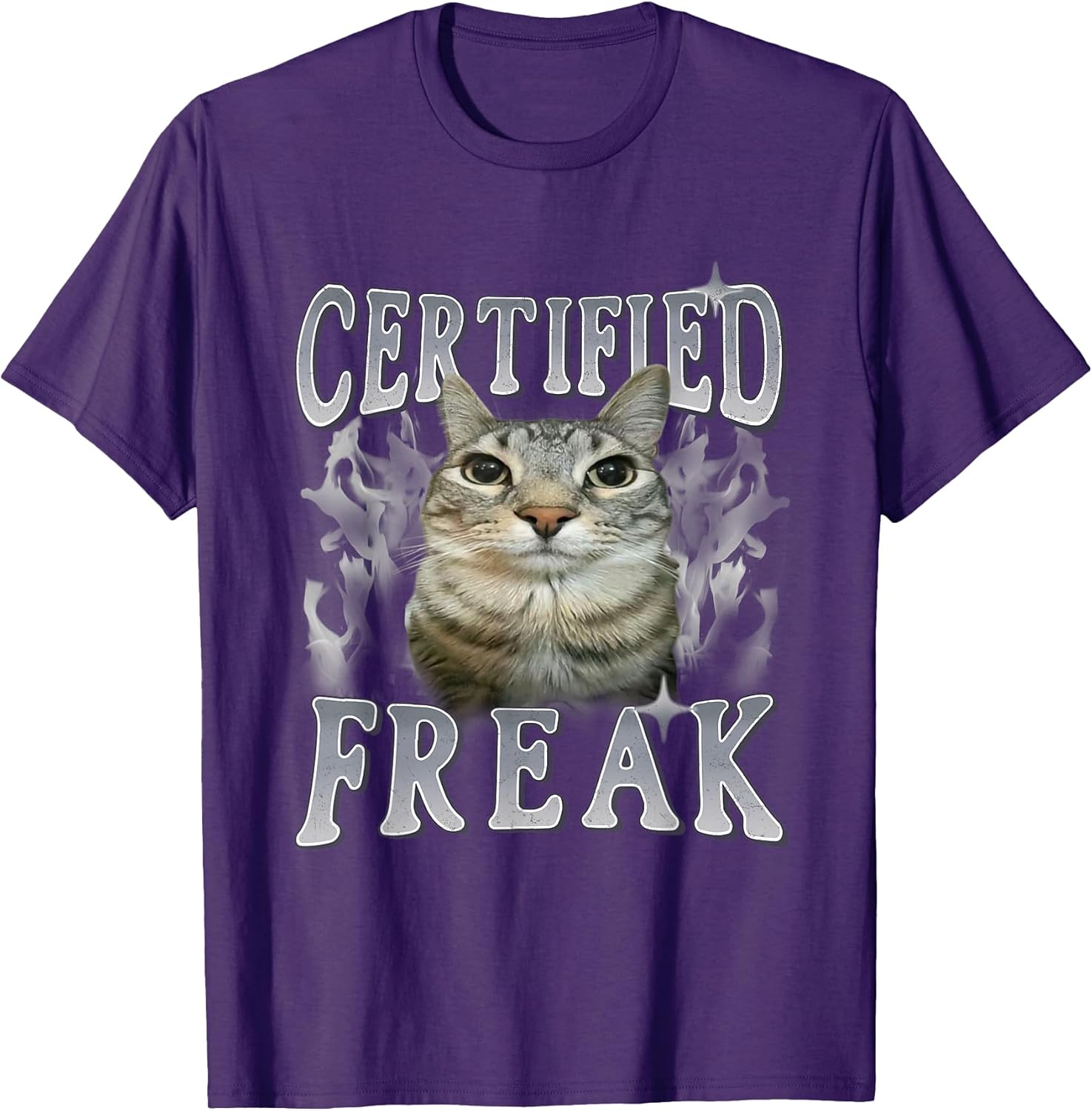 Retro Washed Cat Meme
