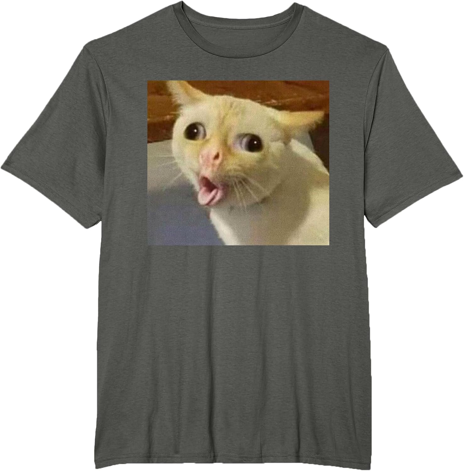 Funny Gagging Cat Meme