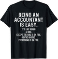 Funny Accountant Graphic & More