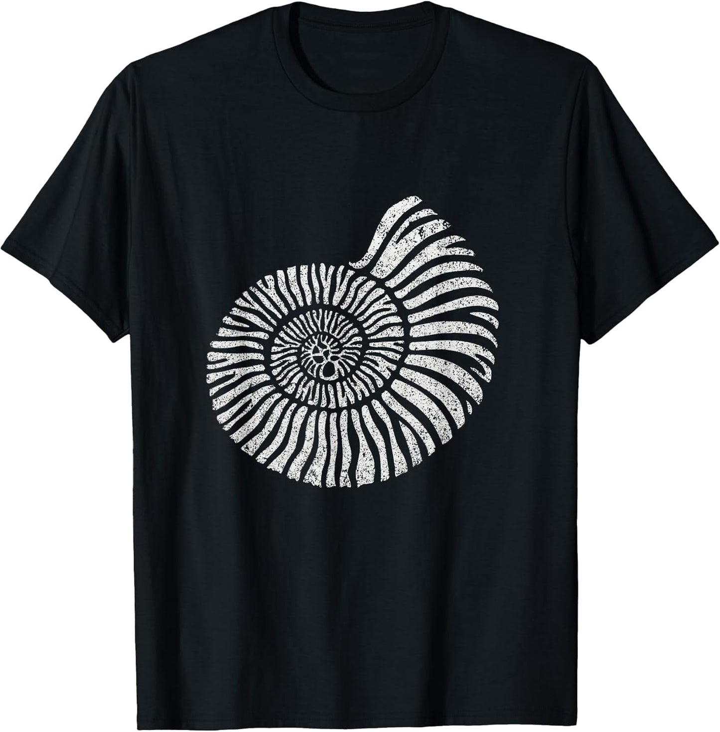 Fossil Nature Artwork Co.