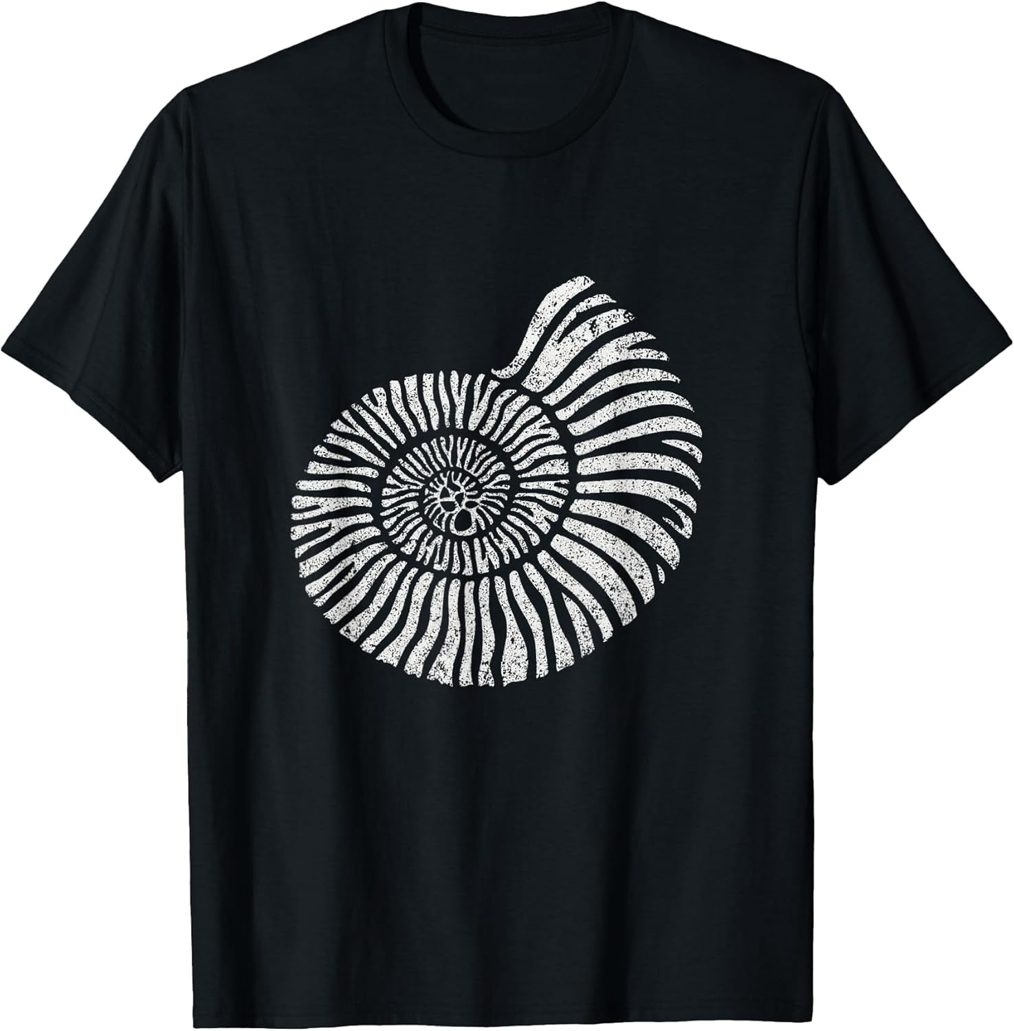 Fossil Nature Artwork Co.