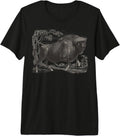 Bison Mountain Life Outdoor