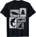 Shark Asymmetrical Collage Design