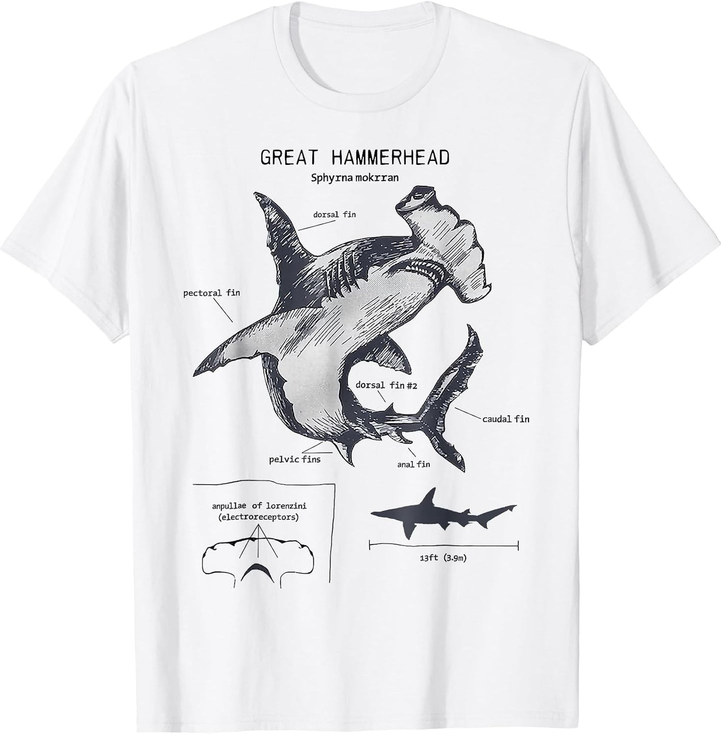 Marine Biology