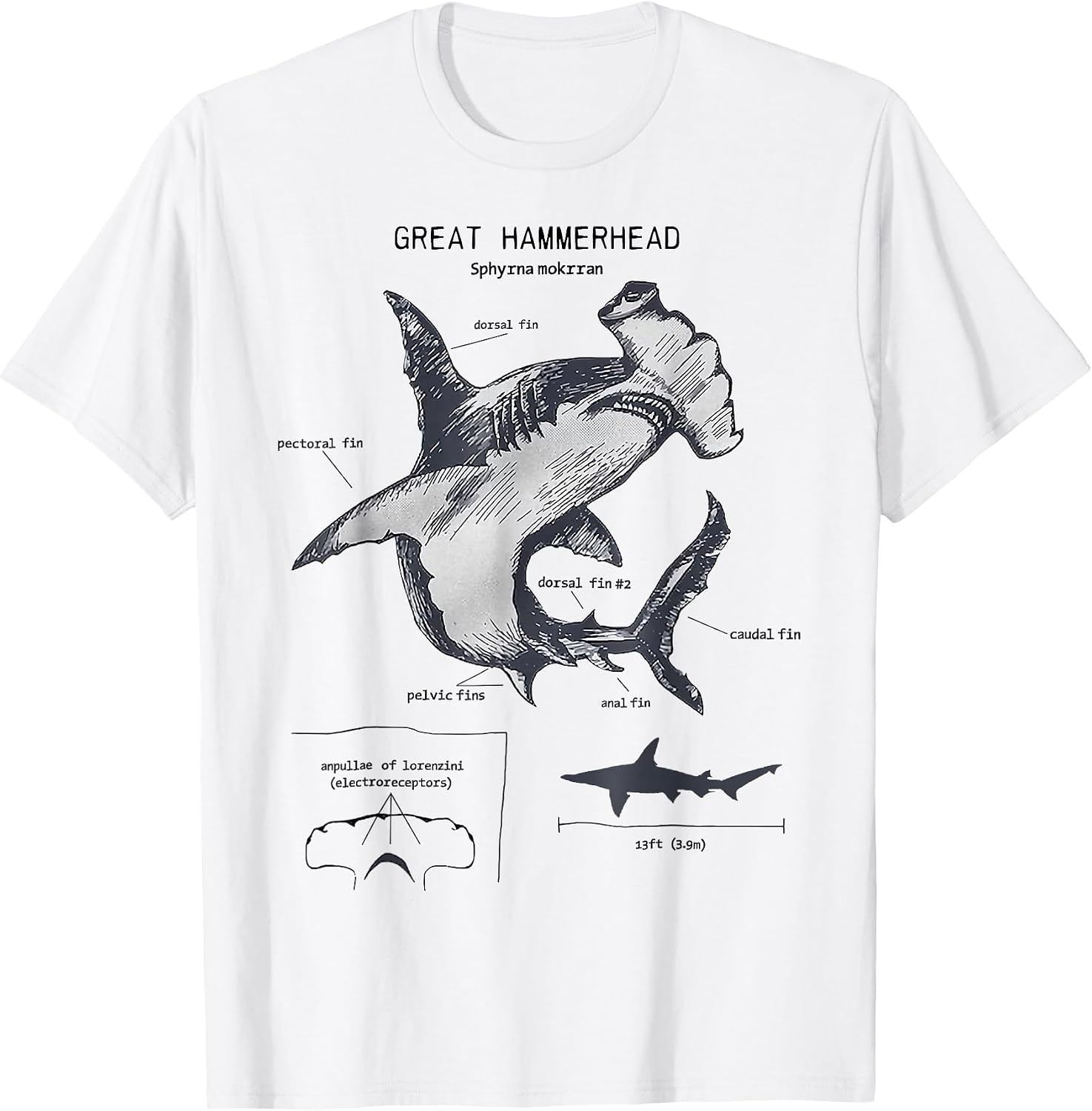 Marine Biology