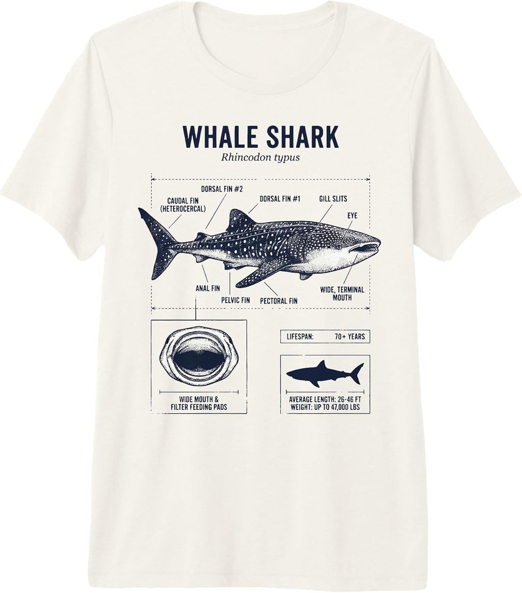 Whale Shark Diving Ocean