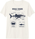 Whale Shark Diving Ocean