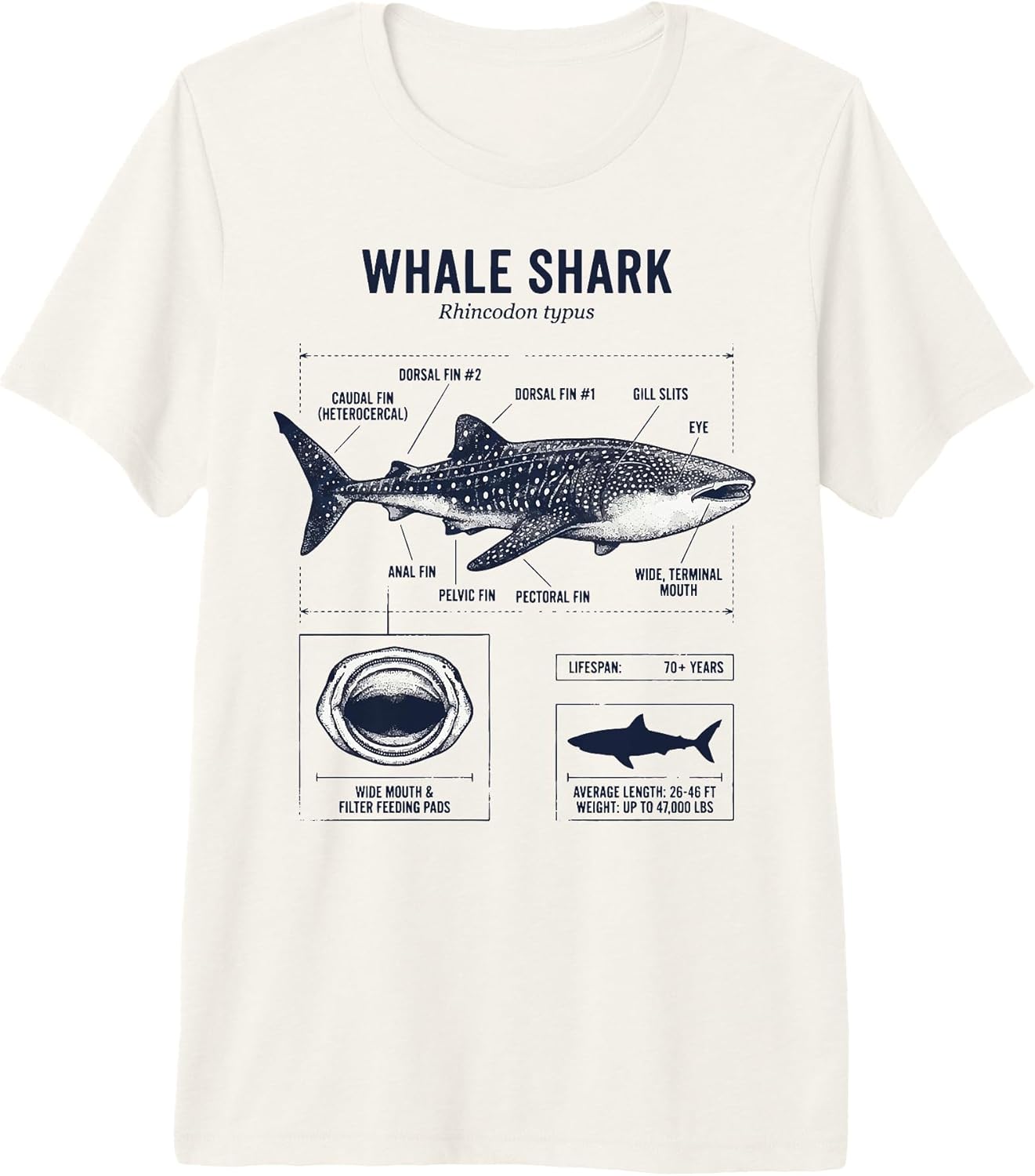 Whale Shark Diving Ocean
