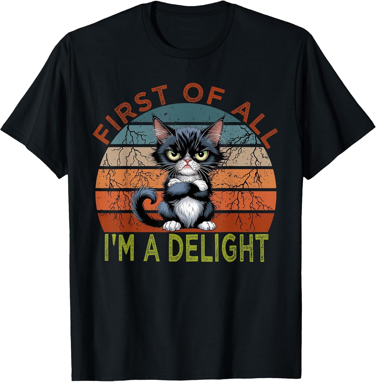 First of all I'm a Delight Sarcastic Angry Cat Lover T-Shirt for Men Women Girls Kids