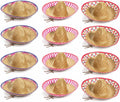 Mexican Sombrero Hats 12 Pack - Authentic Straw Sombreros for Cinco de Mayo Fiesta Party Decorations | Adult Size Mariachi Style with Embroidered Details & Chin Cord Brown
