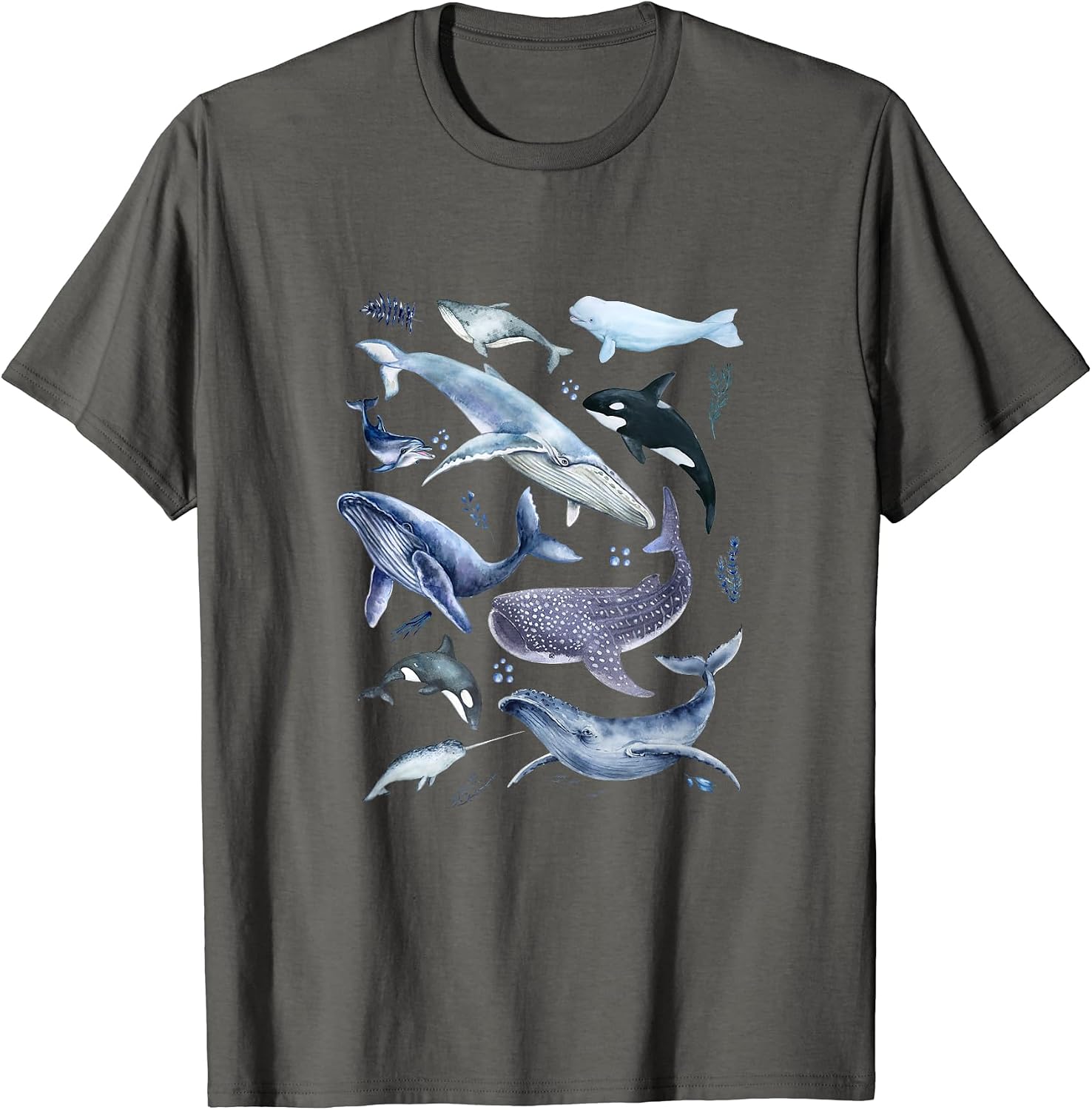Whales Species Watercolor Orca Whale Trendy Ocean