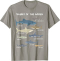 Funny Sharks Friends