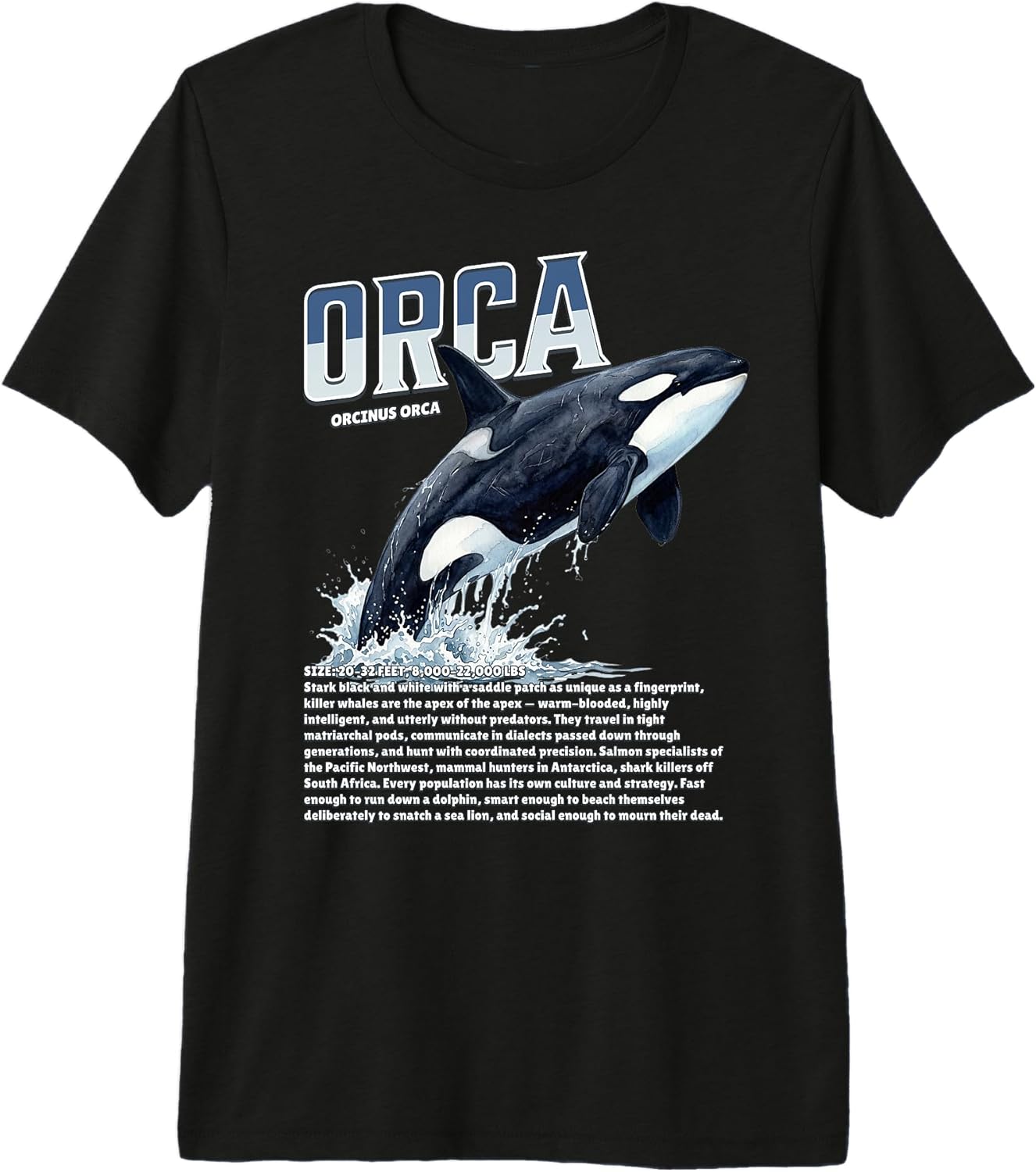 Majestic Killer Of Whales Ocean Wildlife