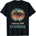 Spring Hill Florida FL Designs