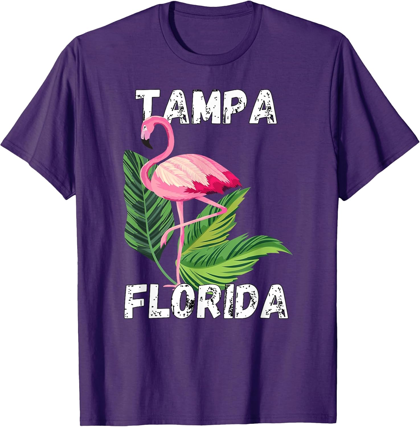 Retro Tampa Florida Apparel Designs
