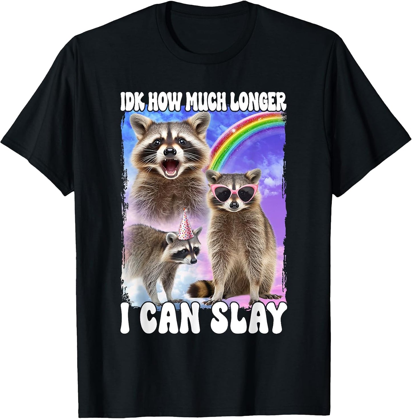 Raccoon Meme Woman Rizz