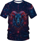 Fantasy Zodiac Graphic T-Shirt Novelty Short Sleeve Crewneck Shirt