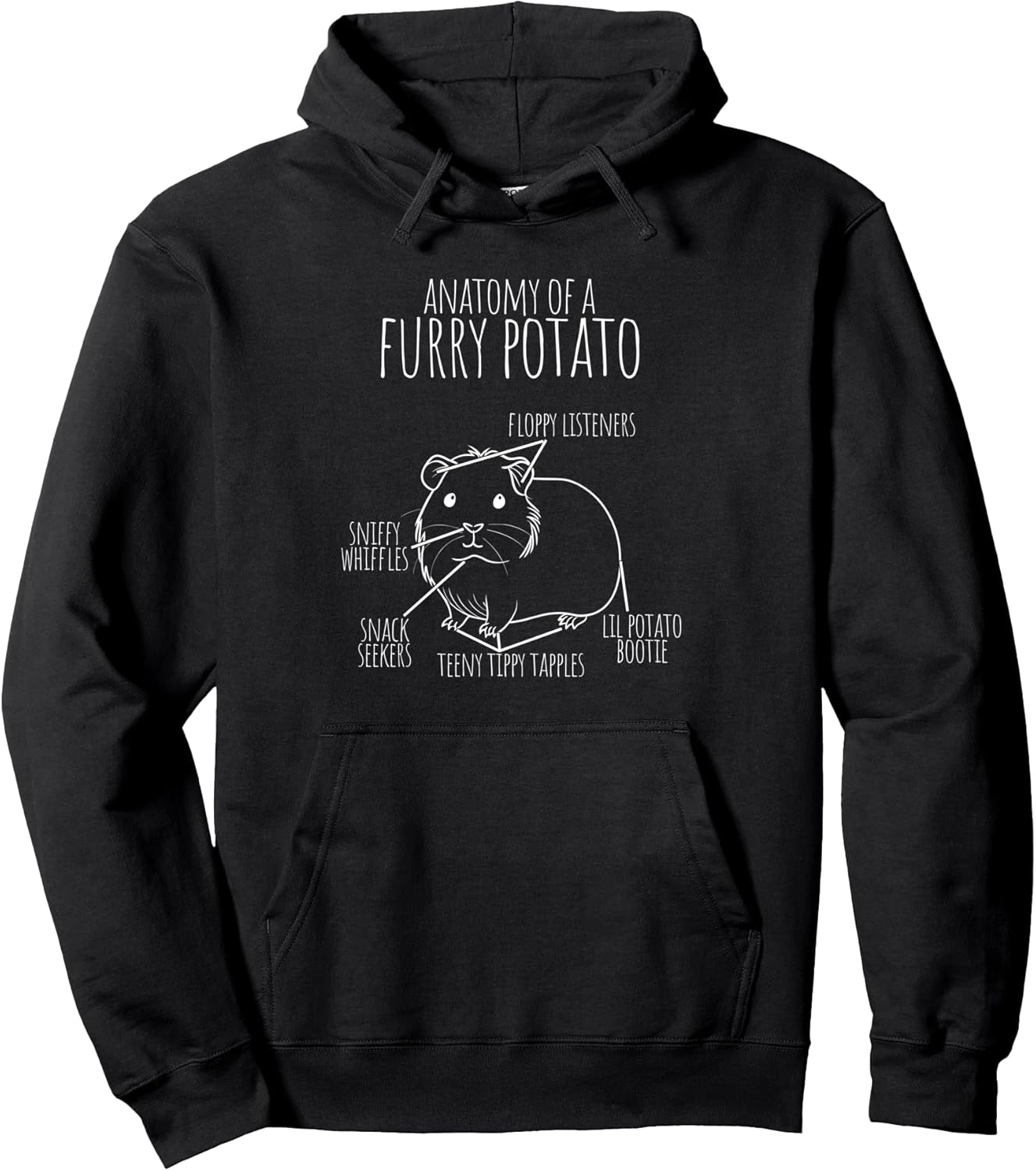 Guinea Pig Anatomy Gift