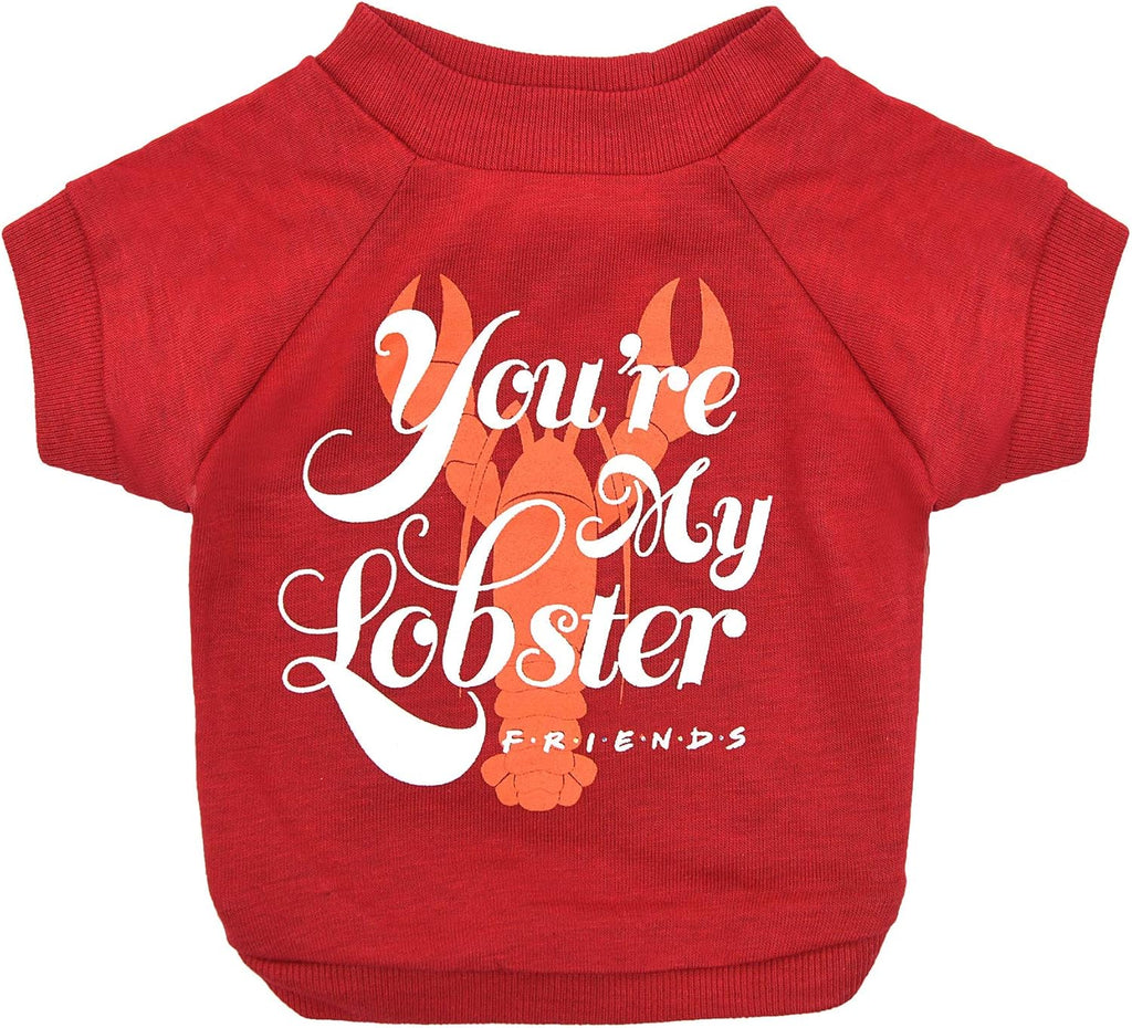 'You're My Lobster' Dog T-Shirt in Red | Soft, Lightweight & Semi-Stretch Dog Shirt, Machine Washable Pull-Over, Size X-Small for Small Dogs & Puppies