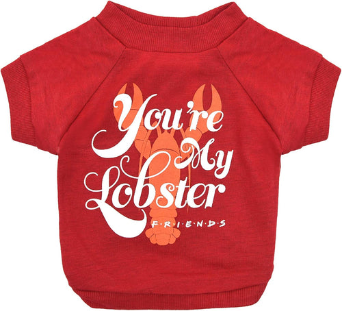 'You're My Lobster' Dog T-Shirt in Red | Soft, Lightweight & Semi-Stretch Dog Shirt, Machine Washable Pull-Over, Size X-Small for Small Dogs & Puppies