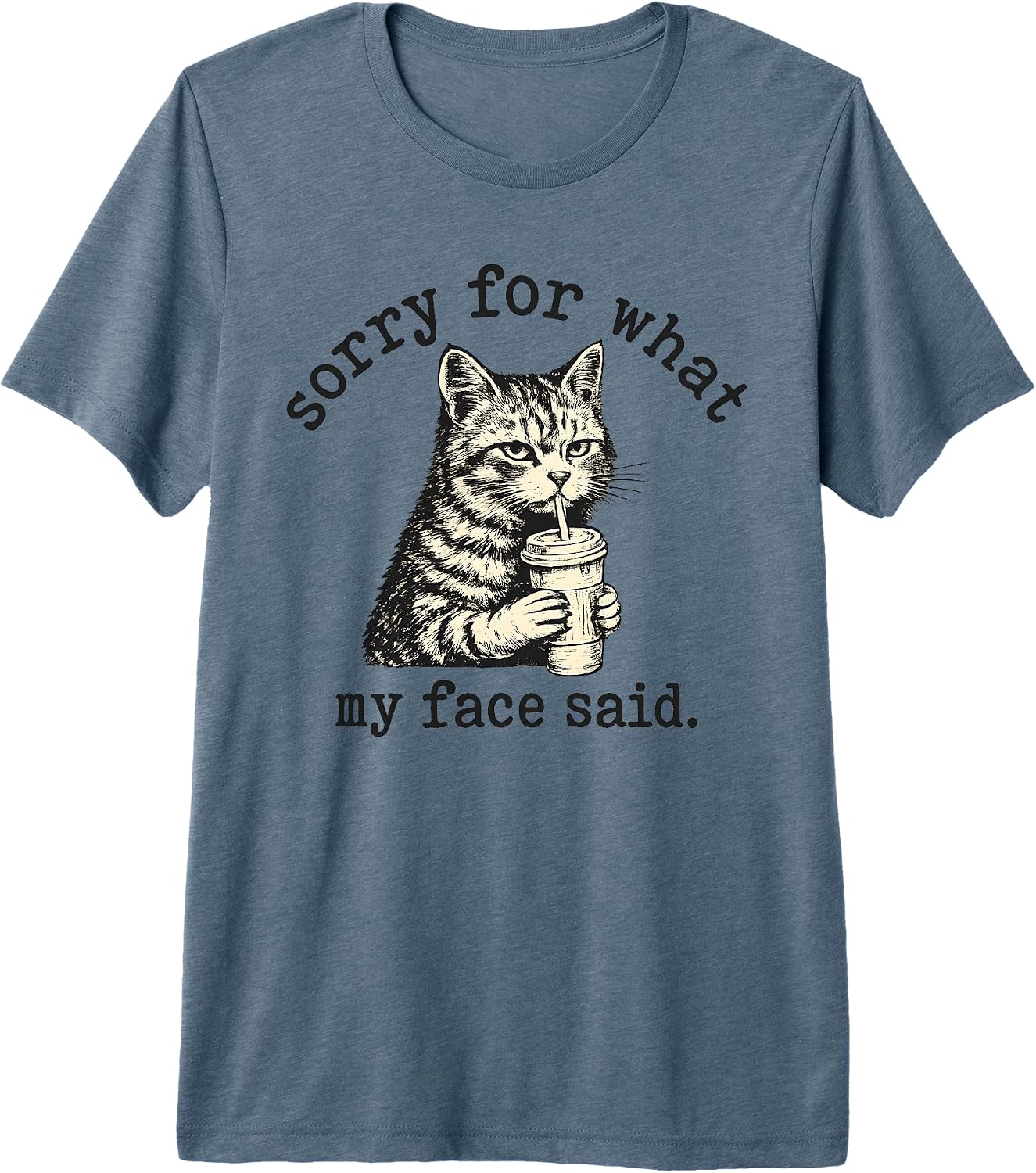 Sorry For What My Face Said Cat