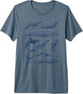 Cute Whale Ocean Summer Illustration Marine