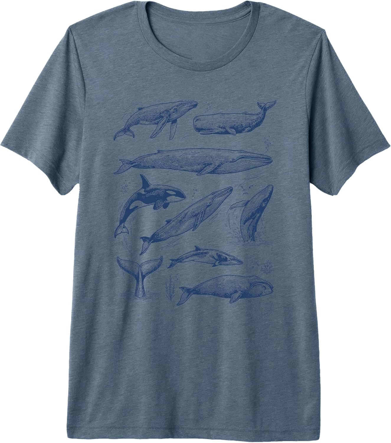 Cute Whale Ocean Summer Illustration Marine