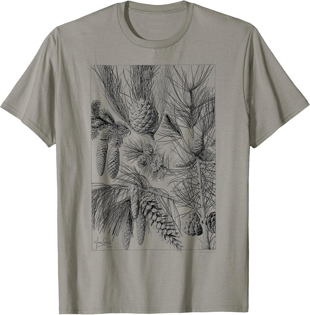 Pine Cone Pine tree