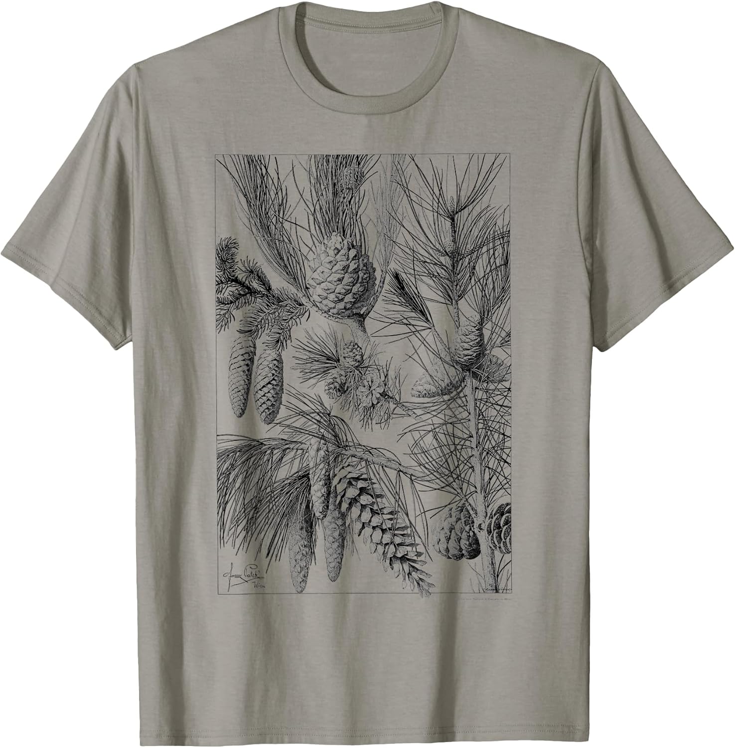 Pine Cone Pine tree