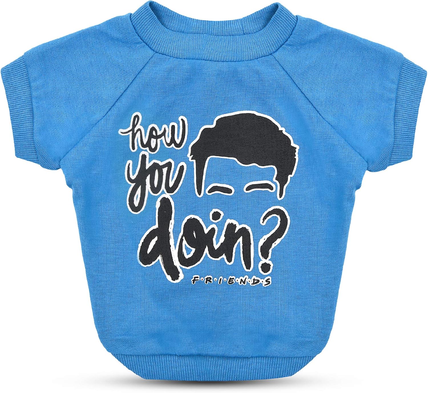 Friends TV Show T-Shirt in Blue | Soft, Machine Washable Pull-Over, Light Weight & Semi-Stretch | Large for Large Dogs