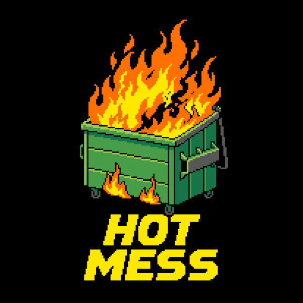 Hot Mess Dumpster Fire Funny