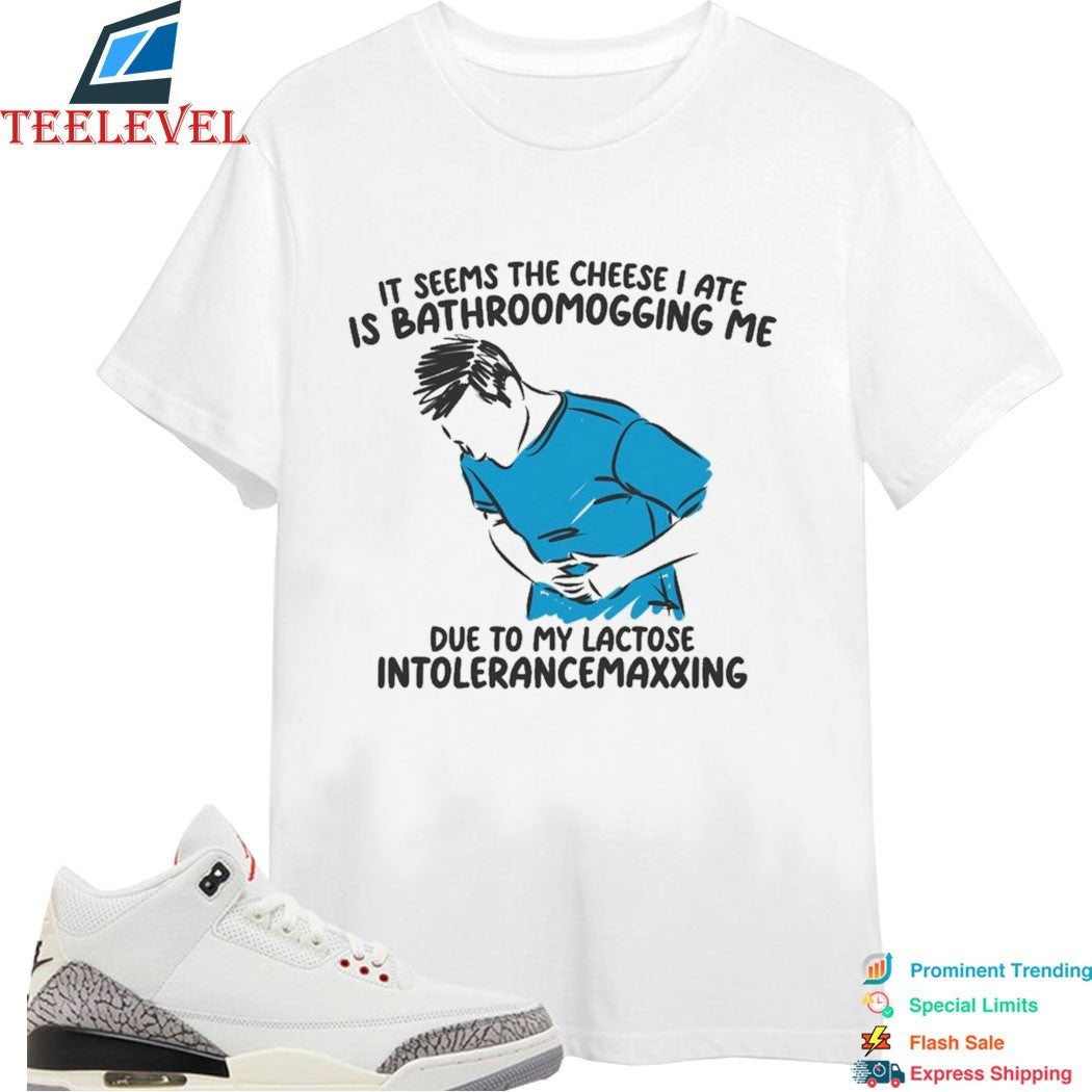 It Seems The Cheese I Ate Is Bathroomogging Me Due To My Lactose Intolerancemaxxing T-shirts