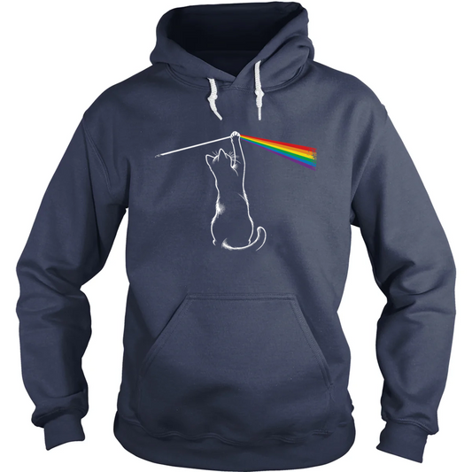 Playing With Light Hoodie