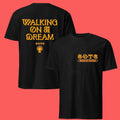 Empire Of The Sun Walking On A Dream Richmond Tour Shirt
