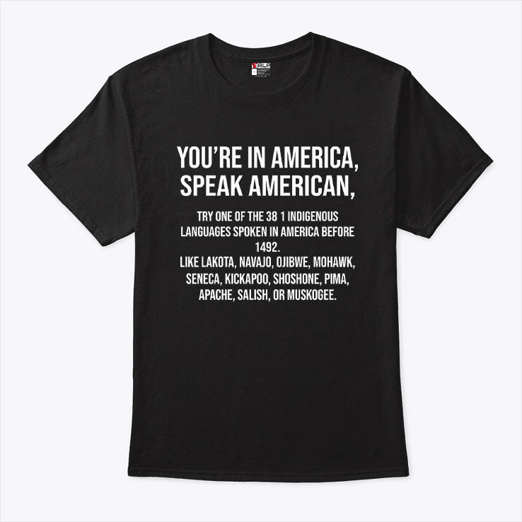 You’re In America Speak American Try One Of The 381 Indigenous Shirt