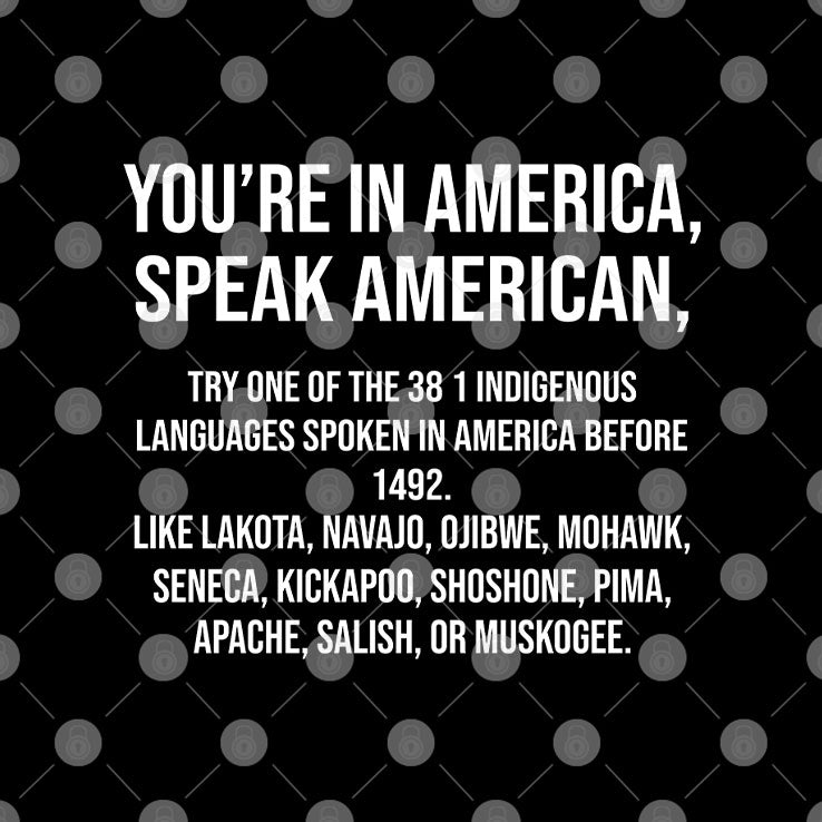 You’re In America Speak American Try One Of The 381 Indigenous Shirt