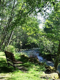 Summer Day Along The River Print