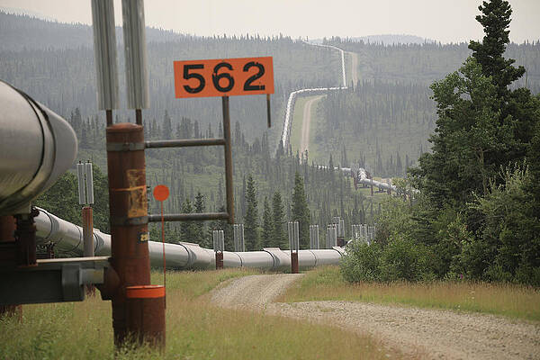 Alaskan Pipeline 2997 Print
