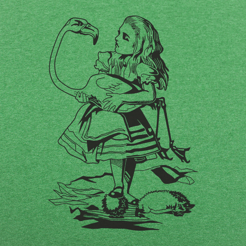 Alice And Flamingo