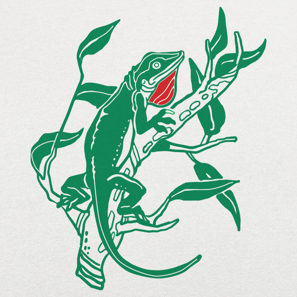 Anole Lizard