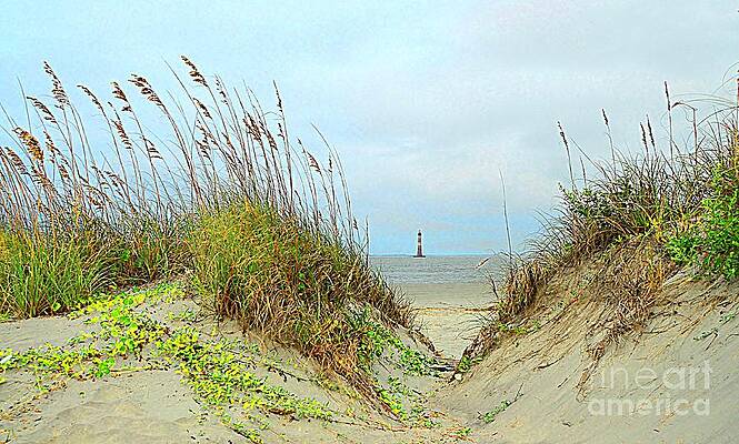 Beach View Print
