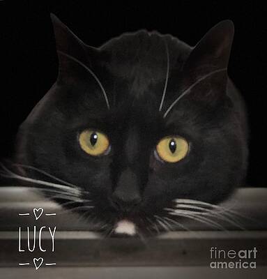 Being Lucy Print