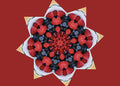Strawberry And Blueberry Kaleidoscope Print