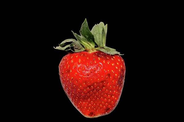 Berry Love Print