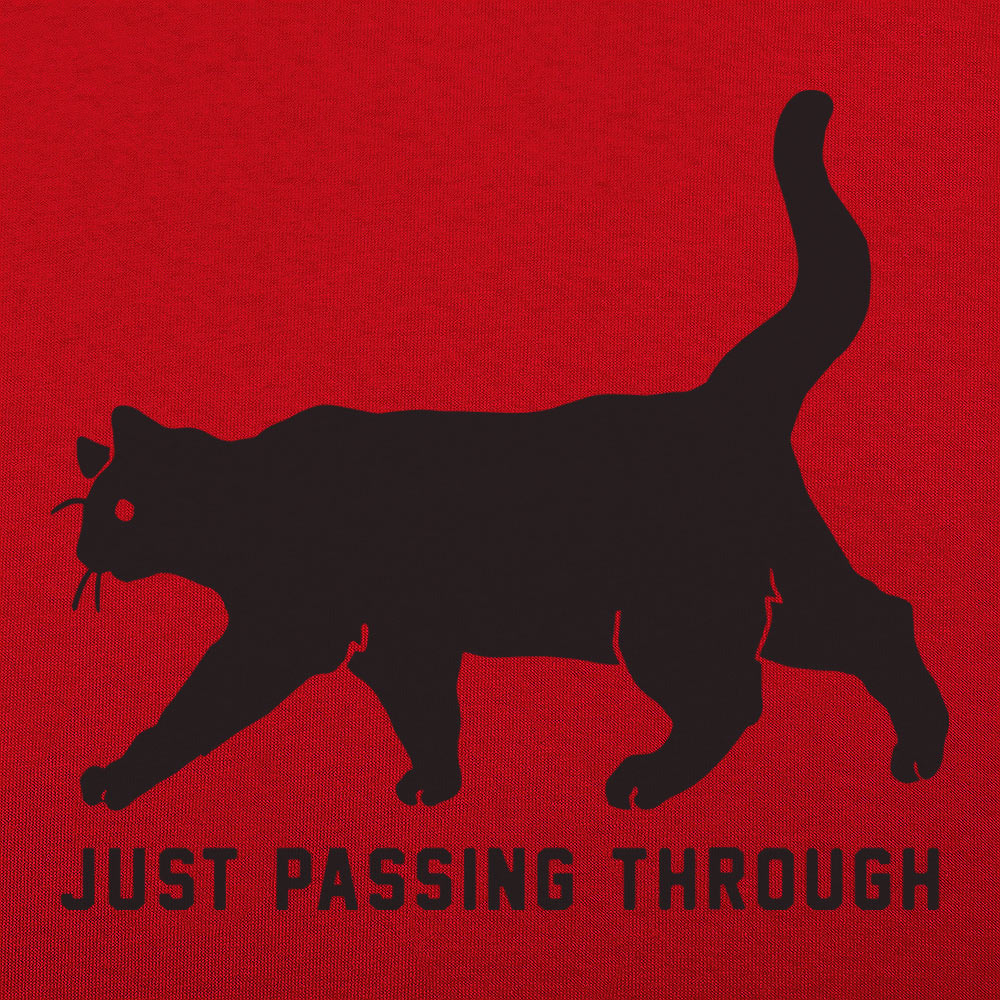 Black Cat Crossing