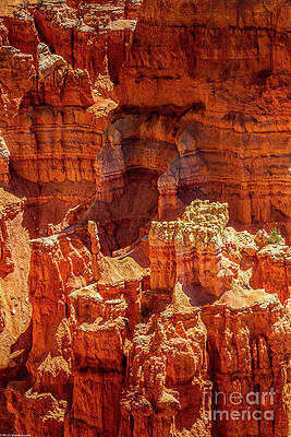 Bryce Canyon 11 Print