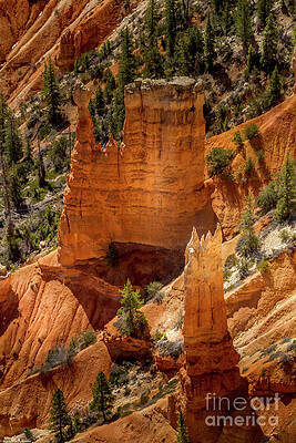 Bryce Canyon 5 Print