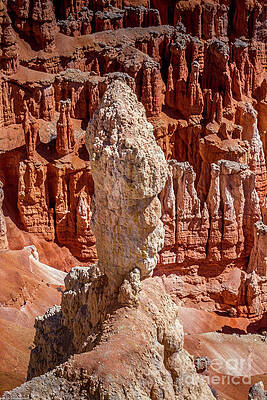 Bryce Canyon Hoodoo Print