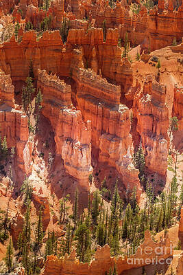 Bryce Canyon Hoodoos 4 Print